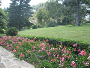 Цветы в парке Партенита
