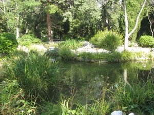 Красивый пруд в Форосском парке