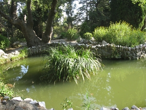 Красивый пруд в Форосском парке на южном берегу Крыма