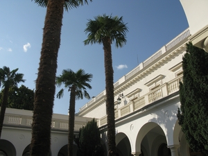 Пальмы в итальянском дворике в Ливадийском дворце