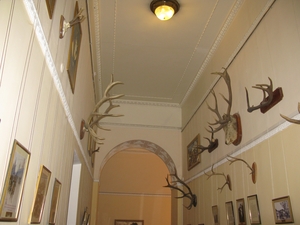 Охотничьи трофеи императора Николая II в Ливадийском дворце