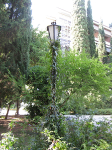 Фонарь, обвитый растениями в Гурзуфском парке