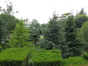 Зеленый парк Юсуповского дворца