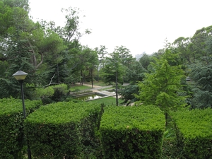 Красивые кустарники парка около Юсуповского дворца