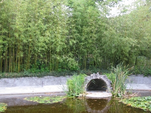 Заросли бамбука и пруд в парке Юсуповского дворца