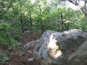 Большие валуны камней в лесу на вершине Медведь-горы