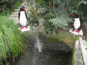 Фонтан и пингвины в зоопарке Ялты