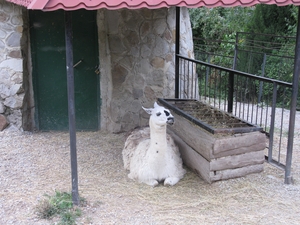 В ялтинском зоопарке