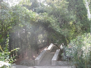 Лестница в парке санатория Карасан