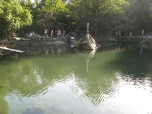 Озеро с белым лебедем в парке Воронцовского дворца